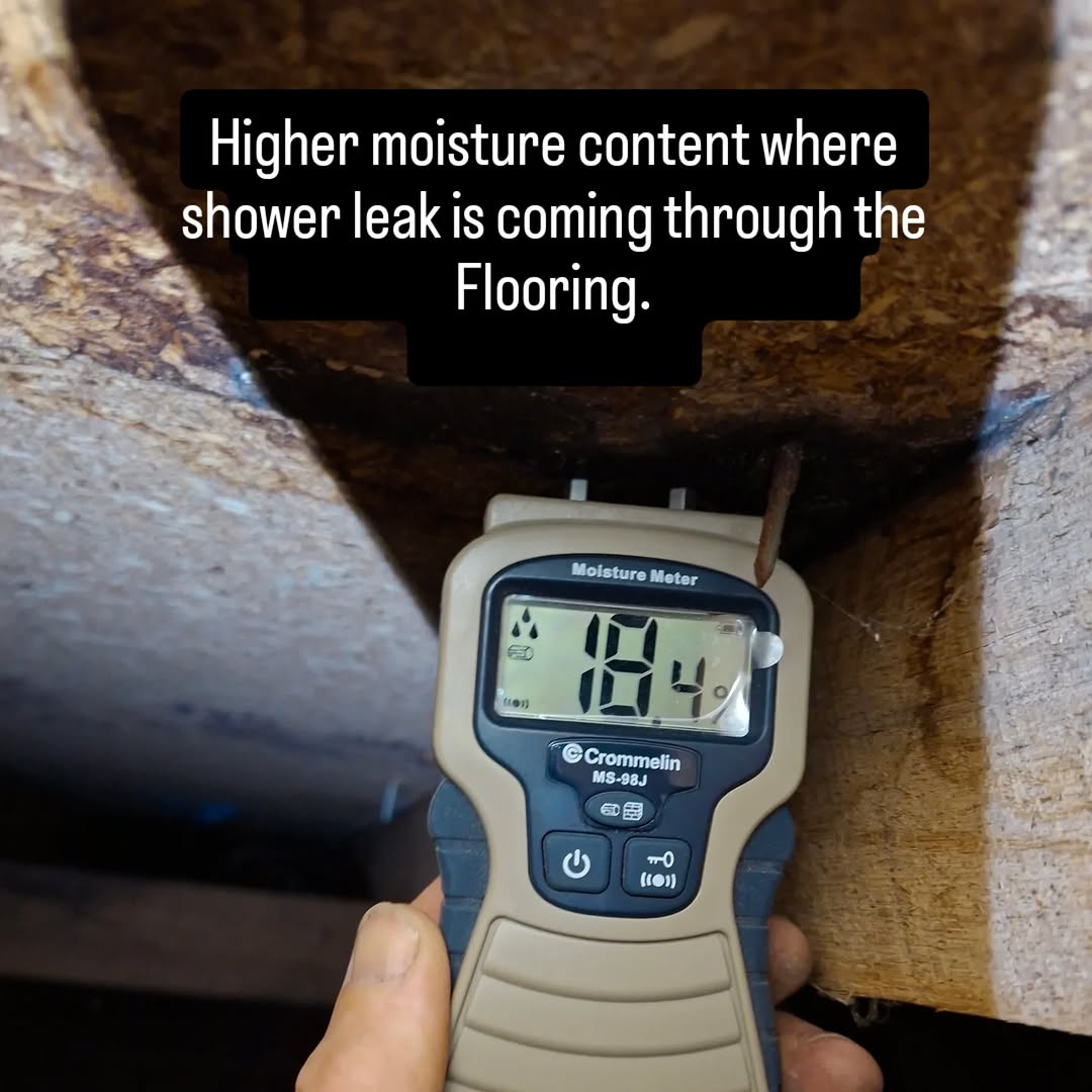 pre-purchase building inspection hobart
