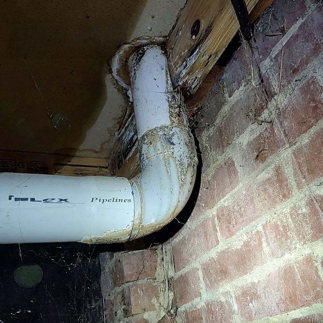 building inspector near me hobart
