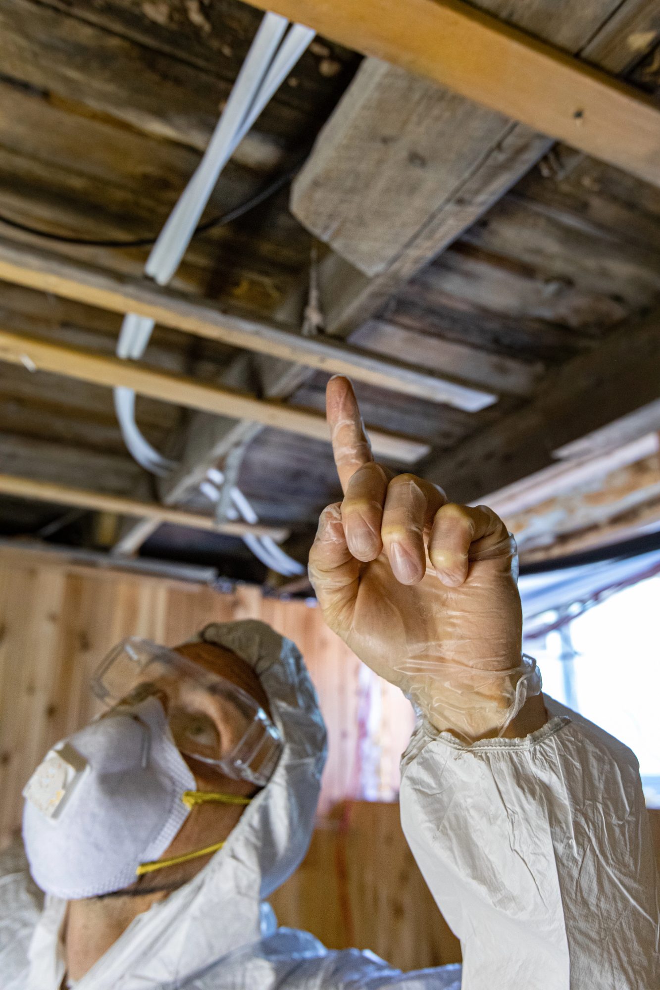 house inspection hobart