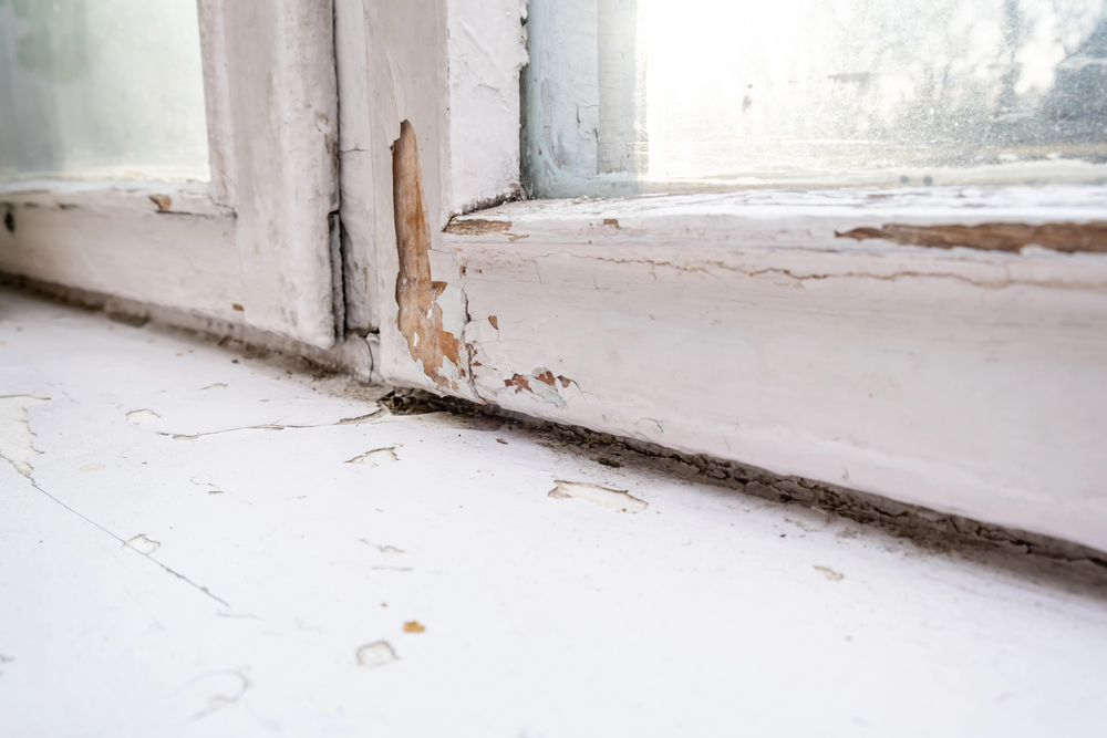 pest inspection hobart