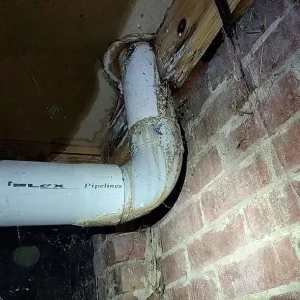 building inspector near me hobart