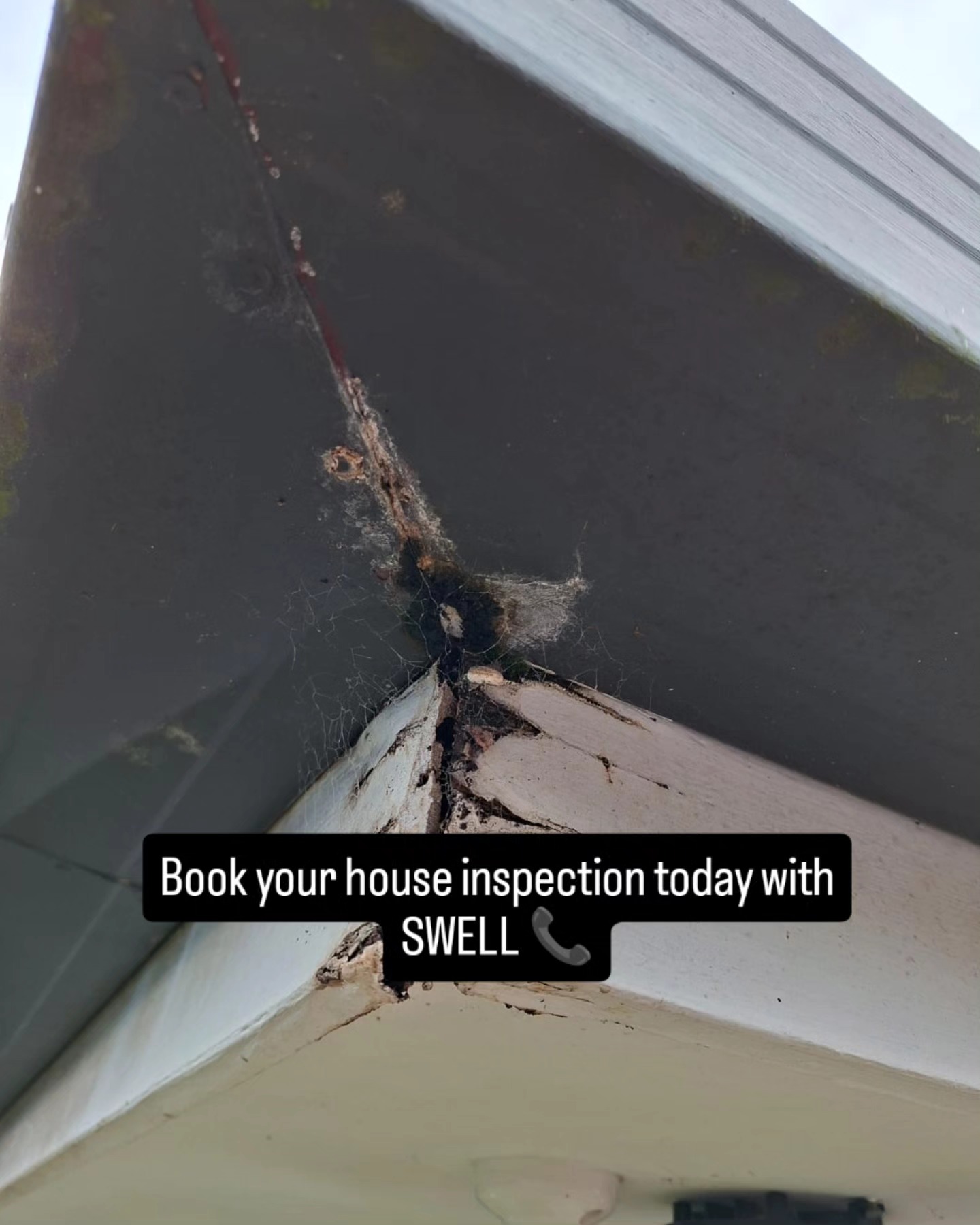 Remote Building Inspections Hobart