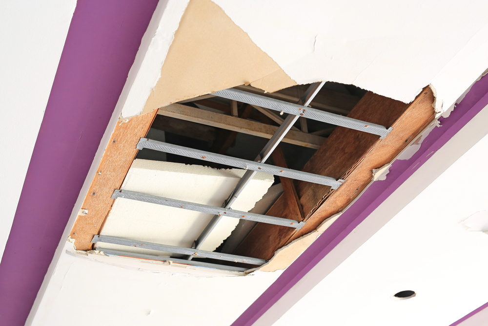 professional building inspection