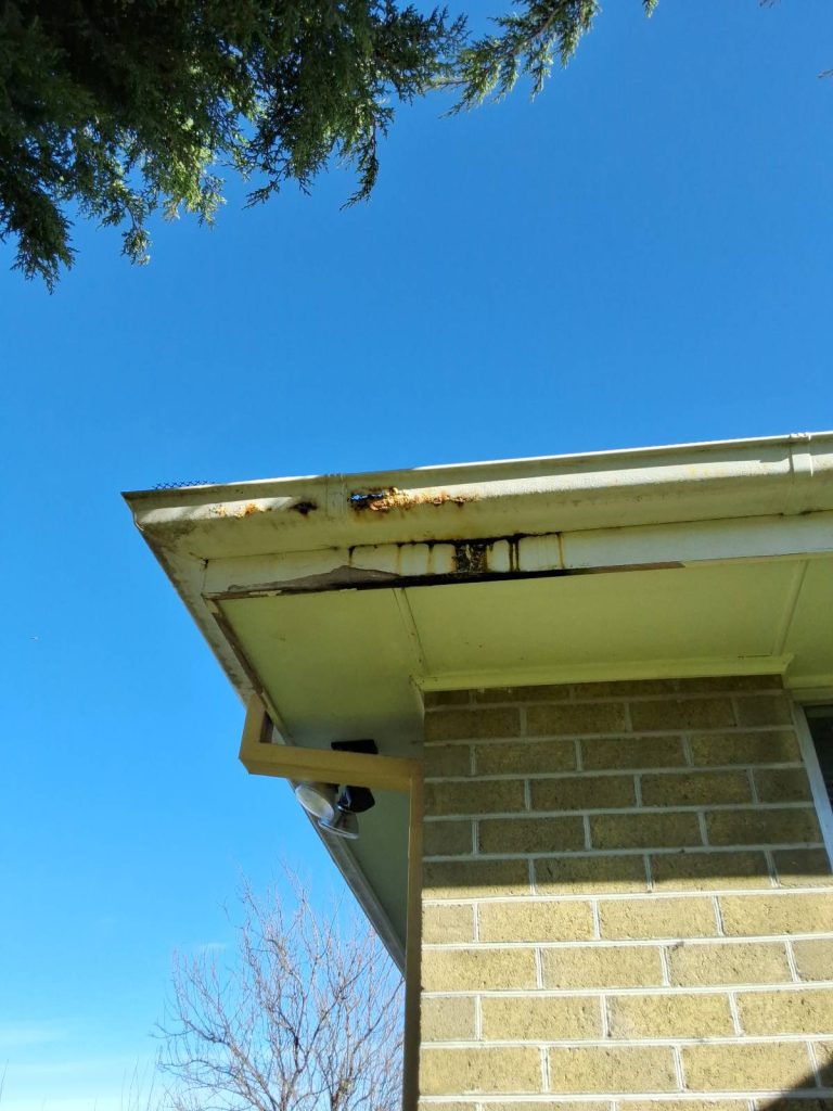 building inspection