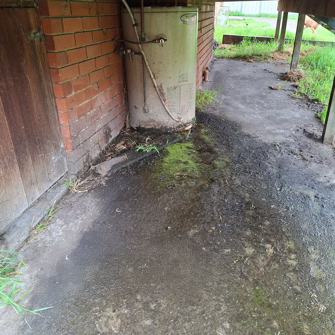 water damage inspection hobart