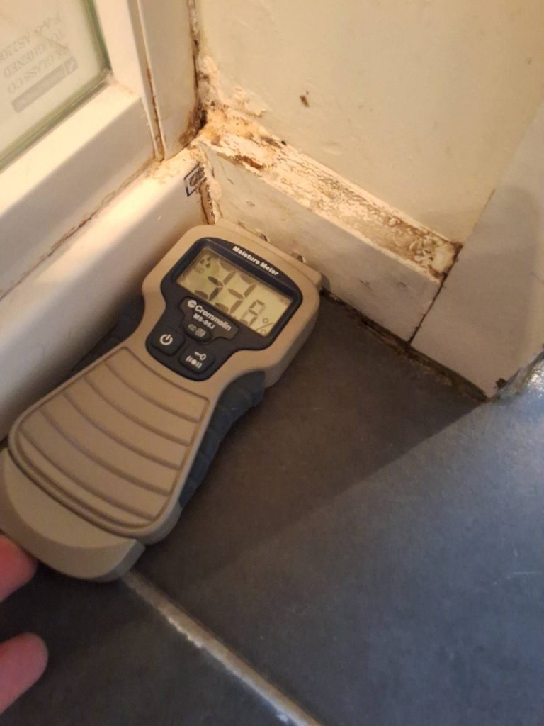 Tasmanian Licensed Building Inspectors