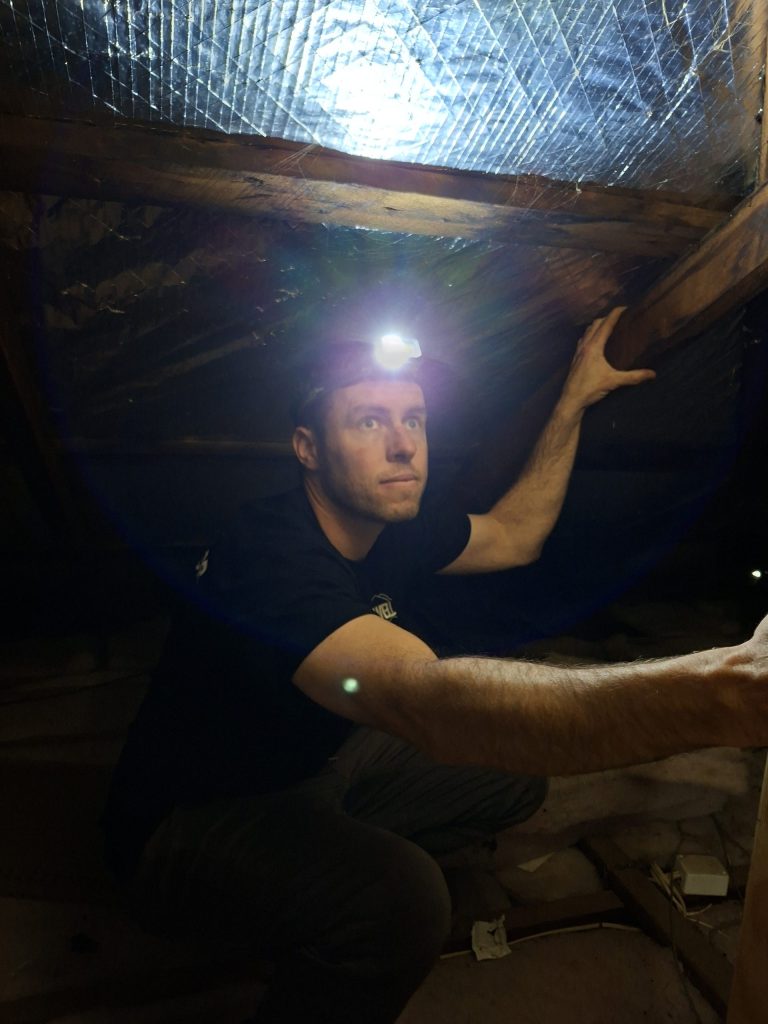 Building and Pest Inspections in Margate